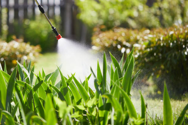 Tamper-Resistant Bait Stations for Rodents in Cookeville