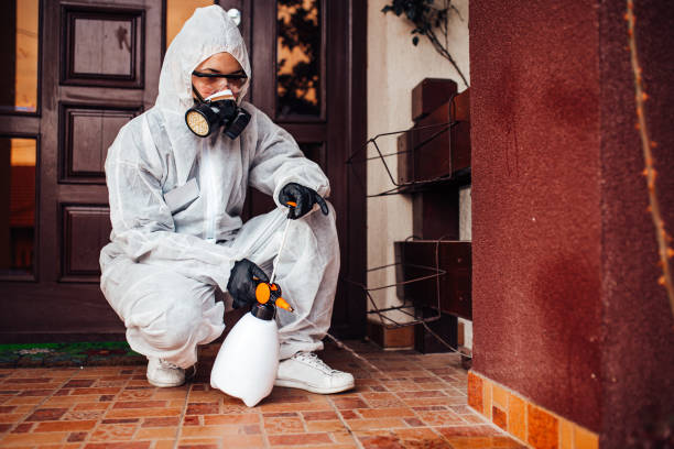 Attic and Crawl Space Rodent Treatment in Cookeville