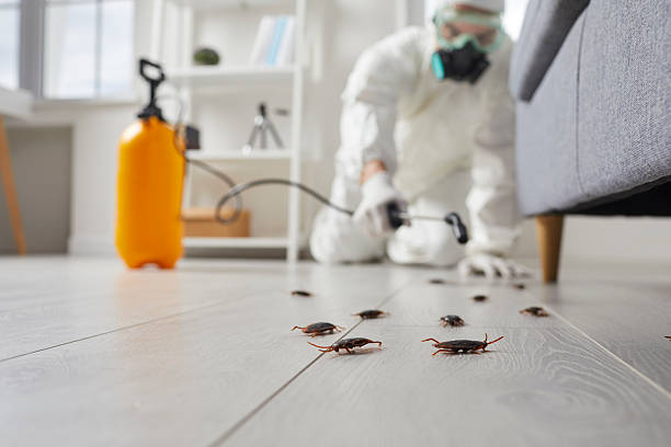 Commercial Rodent Management in Cookeville